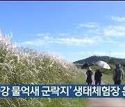 ‘태화강 물억새 군락지’ 생태체험장 운영