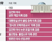 상설특검·동행명령…수사·재판 다 하겠다는 野