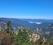 "여친이 설악산서 길 잃었어요"…스웨덴서 걸려온 119 신고