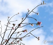 내일 아침 맑고 '쌀쌀'…큰 일교차 주의