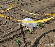 北, 평양 무인기 침투 주장…오물풍선 일부 철원 낙하