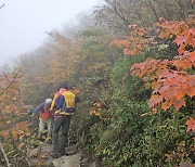 “한국서 등산 중 길 잃었어요”…스웨덴서 신고해 구조 성공