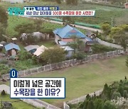 박영규, 교통사고 사망 외아들 300평 수목장 공개 “마음껏 놀라고” (살림남)