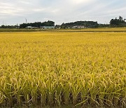 전남도, 3㏊ 이하 자투리 농지 농업진흥지역 해제 나선다