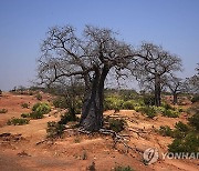 Zambia Failing Dam Electricity