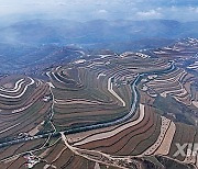 (VistaNingxia) CHINA-NINGXIA-FIELDS-HARVEST-AERIAL VIEW (CN)