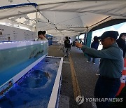 고성통일명태축제 행사장 '북적북적'