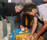 [포토] 배 일소 피해농가 현장 점검하는 강호동 농협회장