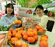 [포토] 농협유통, '청도 반시' 선보여..