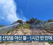 통영 산양읍 야산 불…1시간 반 만에 진화