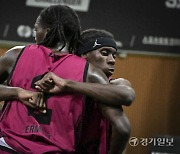 독일 장크트파울리, FIBA 3X3 홍천 챌린지 우승 [포토뉴스]