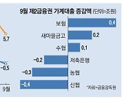 풍선효과 막아라 …2금융권 가계대출 '고삐'