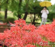 [내일날씨] 전국 흐리고 곳곳 비…낮 최고 21∼25도