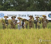 남수단서 벼 수확 행사 참여한 한빛부대