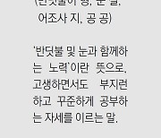 [신문과 놀자!/풀어쓰는 한자성어]螢雪之功(형설지공)(반딧불이 형, 눈 설, 어조사 지, 공 공)