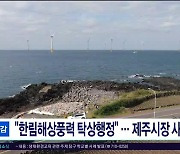 [행감]"한림해상풍력 탁상행정"...제주시장  사과