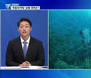 [친절한K] 바닷속 폐어구 실태 조명 ‘죽음의 바당’…대책은?