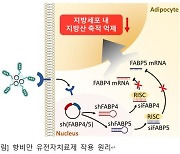 아이큐어 자회사 커서스바이오, 항비만 유전자치료제 KDDF 과제 선정