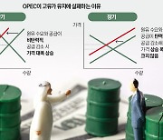 담합과 배신…과점시장 '카르텔'이 실패하는 이유