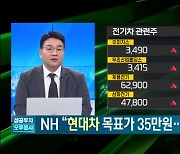 "주가 50만원도 가능"…현대차 위상 달라졌나 [장 안의 화제]