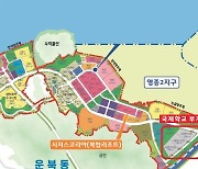 인천 영종 국제학교 공모 착수…인천경제청, 2028년 개교 목표