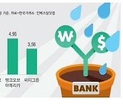 깜짝 실적·밸류업 기대…은행株 훨훨