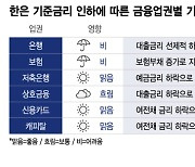 금리인하에 은행·보험 '울상', 카드·캐피탈 '방긋'