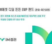 ‘올웨더 투자전략’ iM에셋 디딤 든든 EMP 펀드 주목