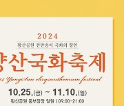 '천만송이 국화 향연'… 2024 양산국화축제 25일 개막