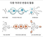 아주대·펜실베이니아대 연구팀, 아라인 유기합성 정리 논문발표