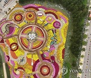 숲과 정원이 어우러진 인제 가을꽃축제