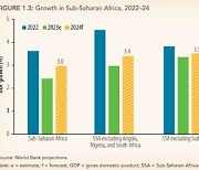 세계은행 "사하라 이남 아프리카 경제 올해 회복세"