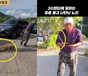 “개소주 하려고, 봐 줘”…개 질질 끌고간 노인이 한 말