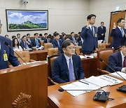 [국감2024]정인섭 한화오션 사장 "대규모 투자 통해 안전한 조선소 만들 것"