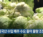 중국산 수입 배추 수요 줄어 물량 조절