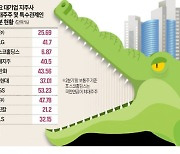 "대기업도 안전지대 아니다"…자금력 앞세운 PEF의 '무차별 사냥'