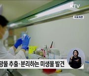 폐배터리 금속자원 친환경적으로 추출하는 미생물 3종 발견