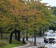 일교차 15도 아침·저녁 쌀쌀…밤에 제주부터 비[내일날씨]