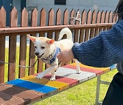 우리와 펫푸드 키친서 반려견 교육 행사…'우리와 학교가자' 성료