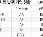 韓 세계국채지수 편입 훈풍…이달 회사채 수요예측 20곳