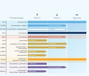 전자약 새 역사 쓴 노보큐어…폐암 병용치료, 美 시판 허가