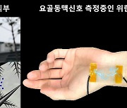 사람 ‘뇌’ 완벽 모사…“1만번 사용해도 거뜬” 초민감 ‘전자피부’ 등장