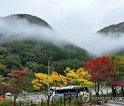 출근길 짙은 안개 주의…강원 영동·경북 북부 동해안에 가을비