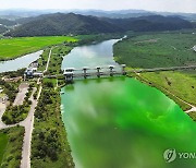 광주환경단체 "영산강 오염원 저감 예산 삭감률 최대…복원해야"