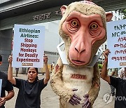 INDIA PETA PROTEST