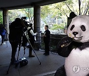 National Zoo Pandas