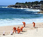 해안에 밀려온 기름 찌꺼기 '검은 공'에 호주 '발칵'…해변 7곳 폐쇄