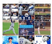 오타니 개인 SNS야? MLB 공식 SNS, 오타니로 도배