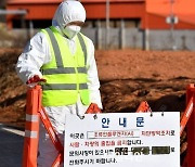 H5N1형 고병원성 AI, 올 동절기 국내서 첫 검출