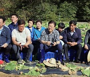 이재명, 평창 `금배추` 현장 찾아 "수입허가권 국내 생산자조합에…입법 추진"